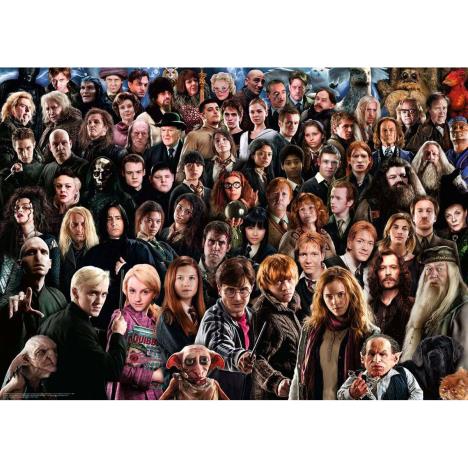 Harry Potter Challenge 1000pc Jigsaw Puzzle Extra Image 1